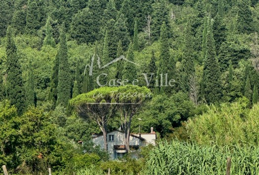 Casa Indipendente  VENDITA  Prato