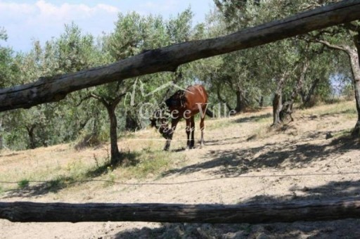 Colonica Quarrata  VENDITA