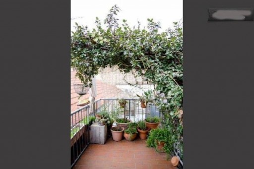 Capannone Prato  AFFITTO