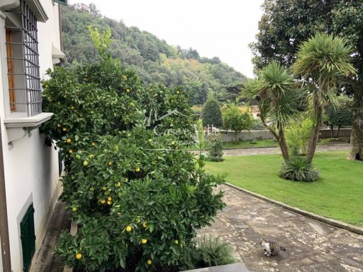 Villa Prato  VENDITA