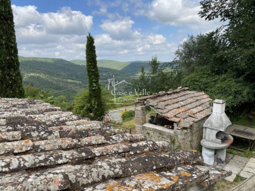 Albergo/Hotel Castellina in Chianti  VENDITA