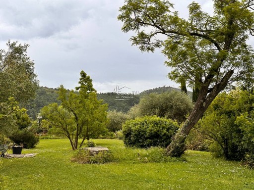 Porzione di colonica Prato  VENDITA