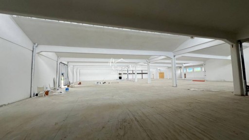 Capannone Altopascio  AFFITTO