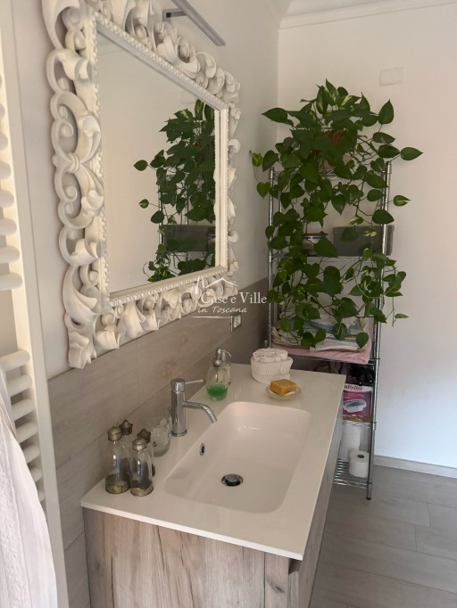 Attico Prato  AFFITTO